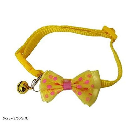 ABS Plastic Coller Belt for Pet (Multicolor)